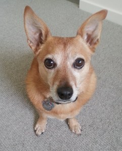 I will miss you, buddy!